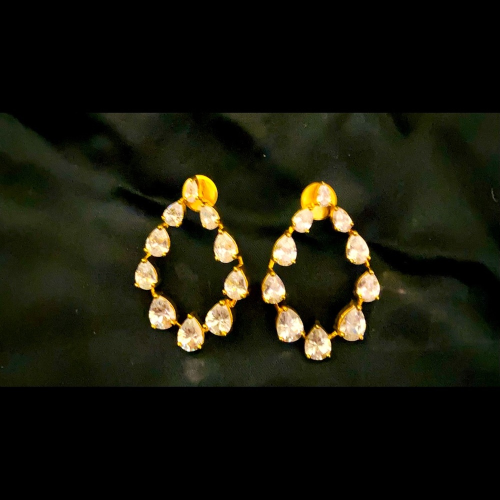 Beautiful Earrings - image 4